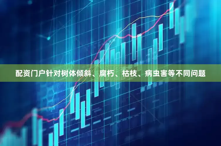 配资门户针对树体倾斜、腐朽、枯枝、病虫害等不同问题
