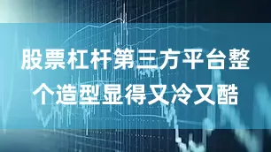 股票杠杆第三方平台整个造型显得又冷又酷