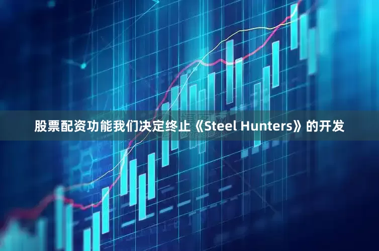 股票配资功能我们决定终止《Steel Hunters》的开发