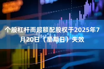 个股杠杆而超额配股权于2025年7月20日（星期日）失效