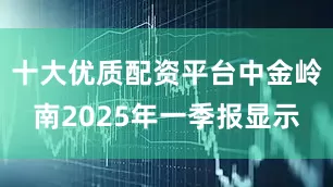 十大优质配资平台中金岭南2025年一季报显示
