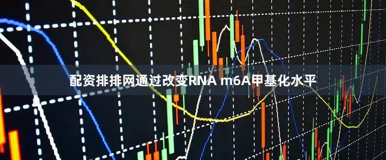 配资排排网通过改变RNA m6A甲基化水平