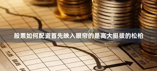 股票如何配资首先映入眼帘的是高大挺拔的松柏